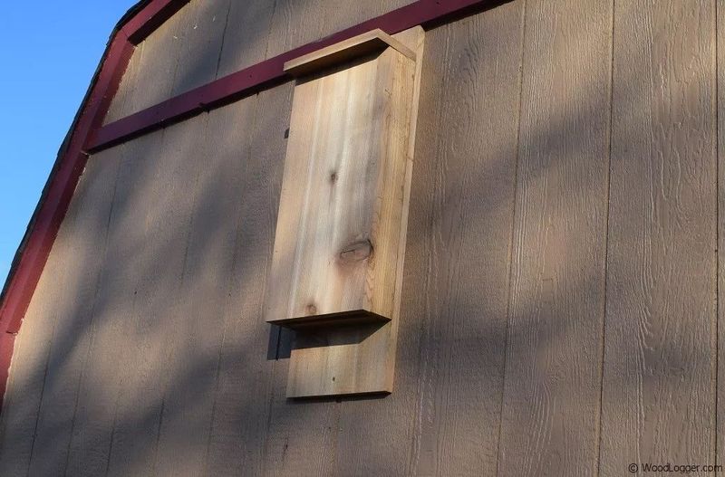 Choose a bat house that gives local bats a usable roost Choose a bat house that gives local bats a usable roost