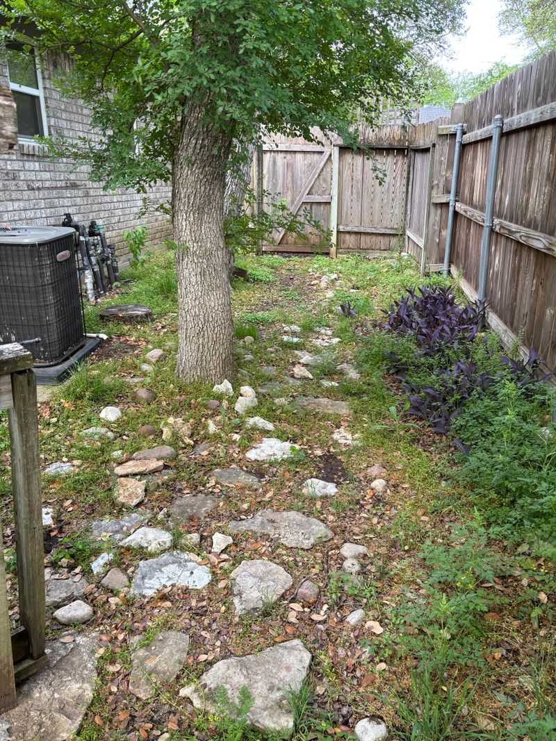 Choose a cool, workable site for local conditions
