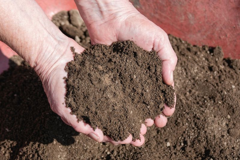 Choose a material that matches the lawn’s soil