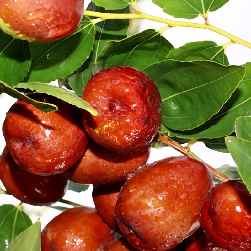 Choose a named cultivar for predictable fruit Choose a named cultivar for predictable fruit