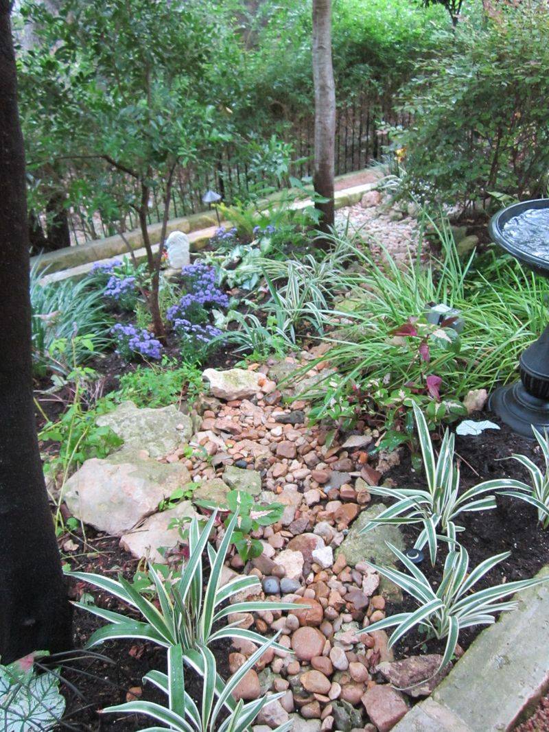Choose a site with shade, shelter, and workable moisture Choose a site with shade, shelter, and workable moisture