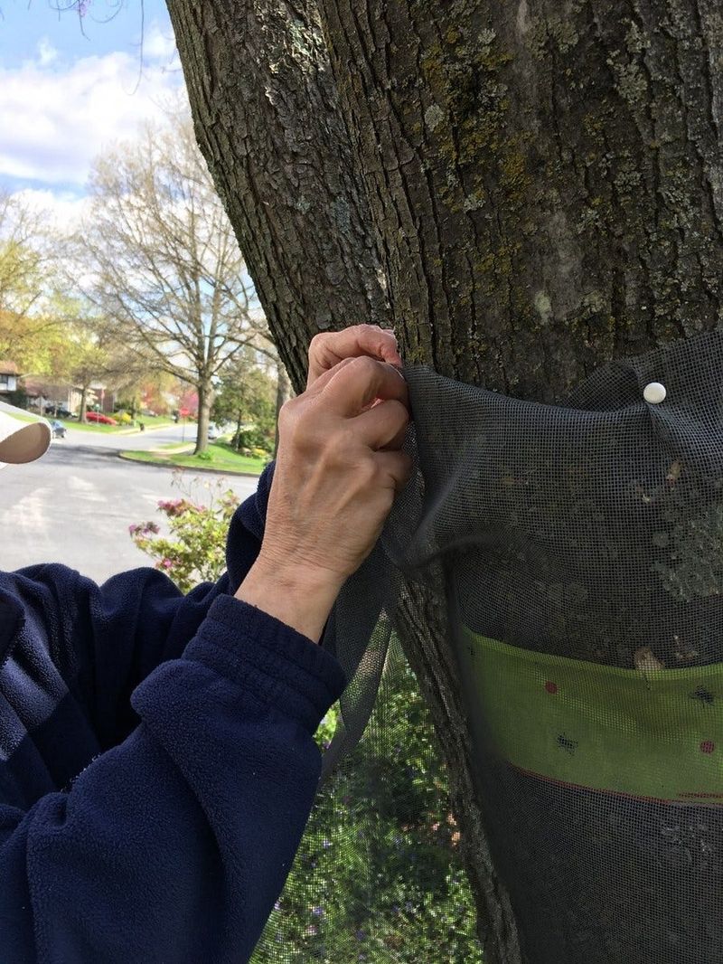 Choose controls that limit wildlife harm and prevent tree-of-heaven regrowth Choose controls that limit wildlife harm and prevent tree-of-heaven regrowth