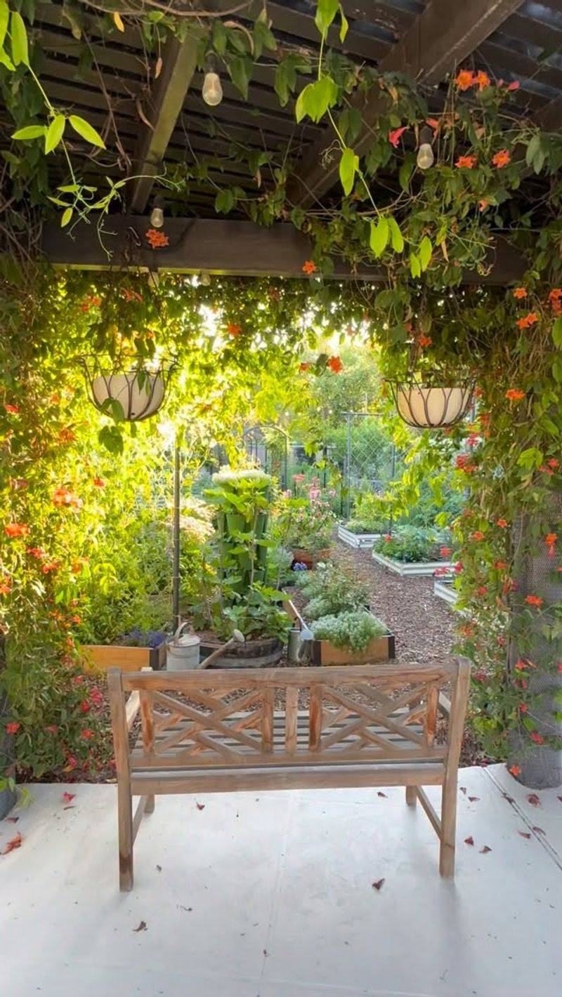 Choose crossvine for qualified shade benefits, not a maintenance-free patio Choose crossvine for qualified shade benefits, not a maintenance-free patio