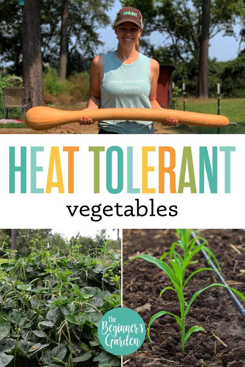 Choose cultivars that fit the local season