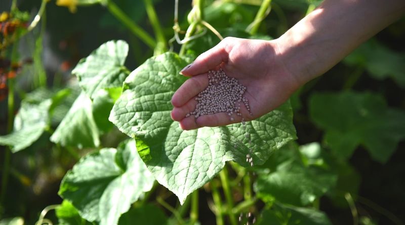 Choose fertilizer only when the evidence supports it