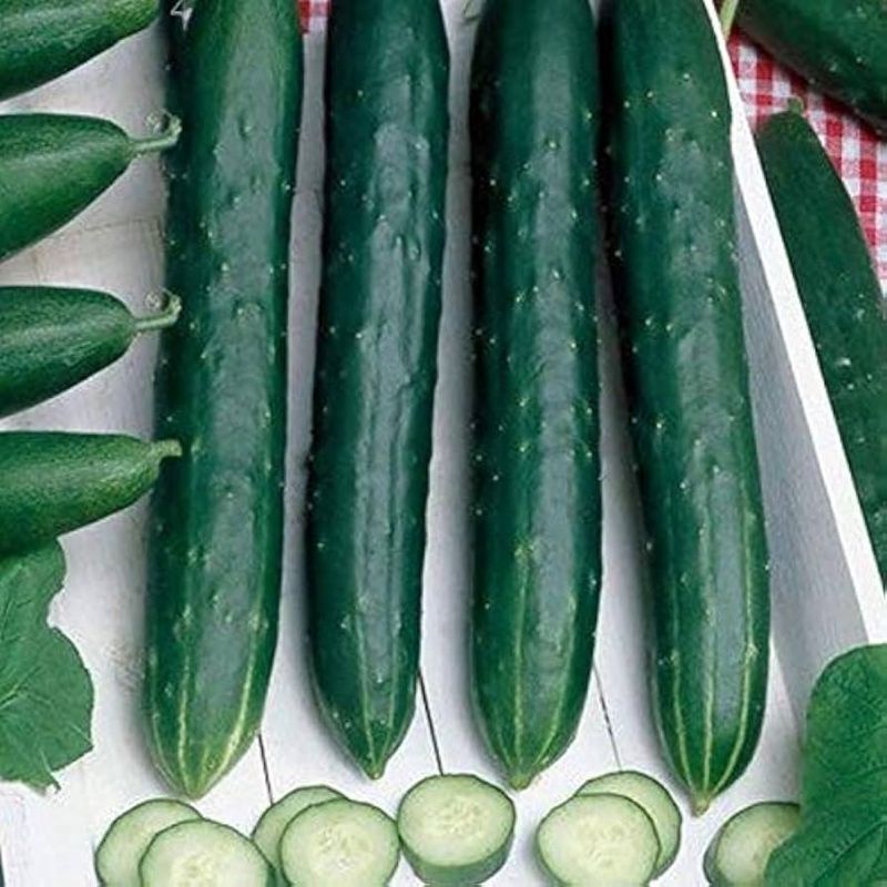 Choose lower-bitterness cultivars for future harvests