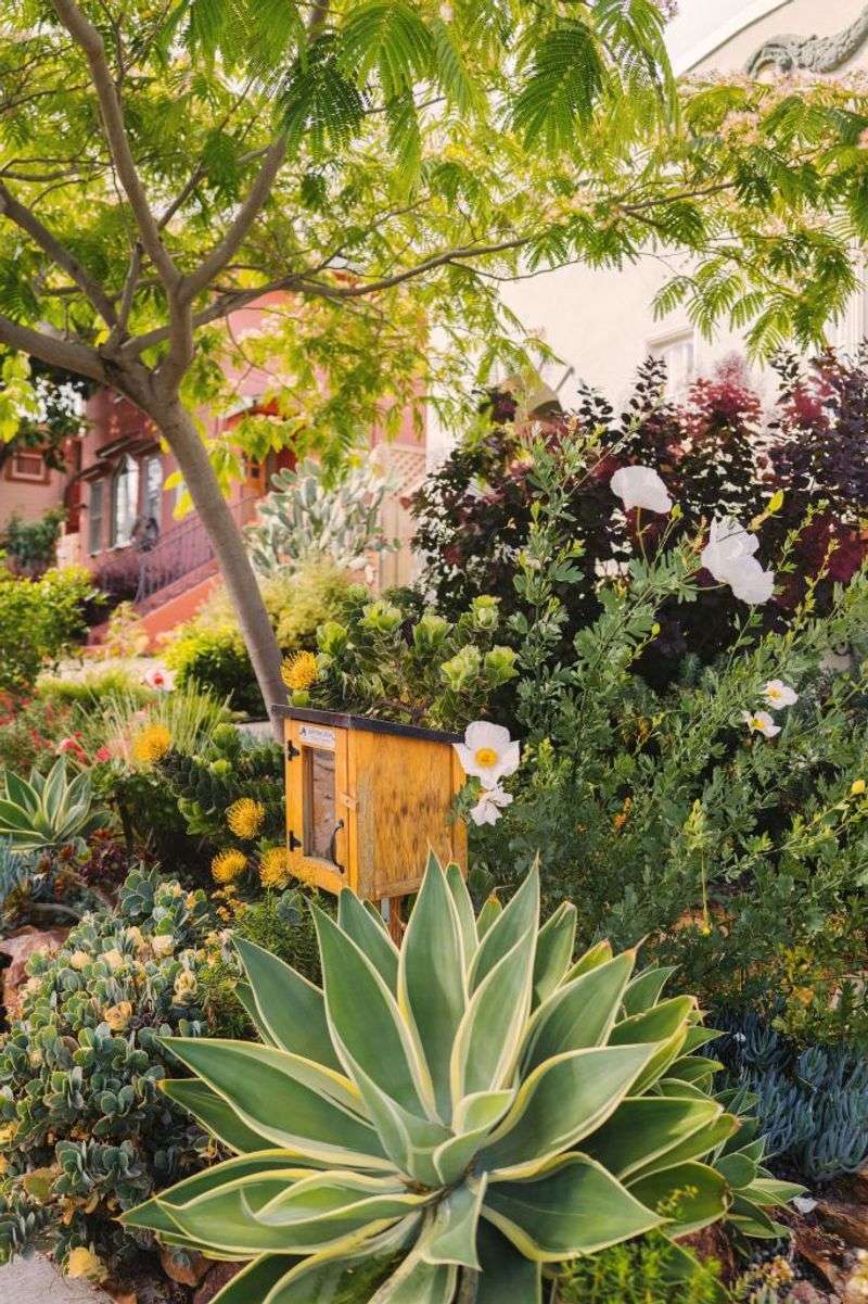 Choose nectar plants for local California conditions