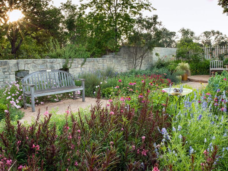 Choose plants for the yard, not as a fictional tick barrier