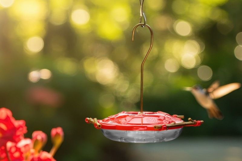 Choose shade and shelter before the heat damages the nectar