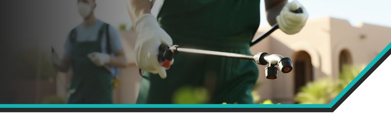 Choose targeted control over blanket spraying Choose targeted control over blanket spraying