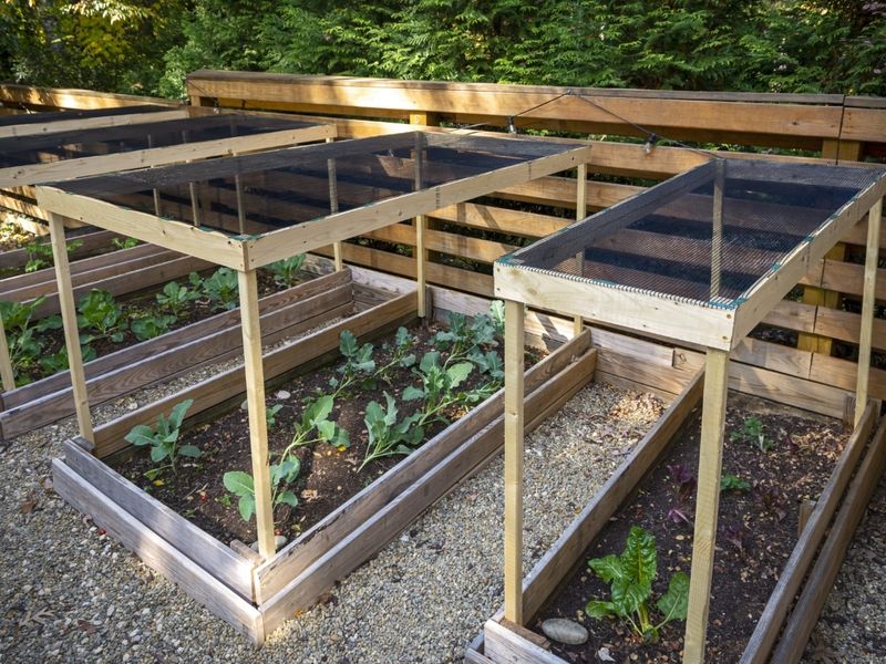 Choose the shade level by crop and stage