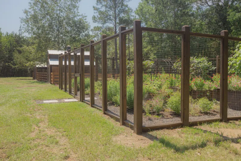 Coexistence works better when homeowners remove incentives and protect vulnerable beds