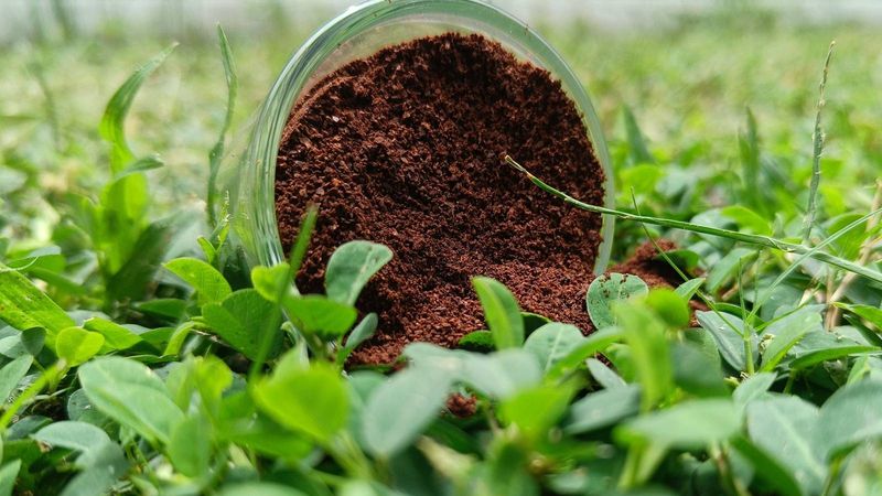 Coffee Grounds Coffee Grounds