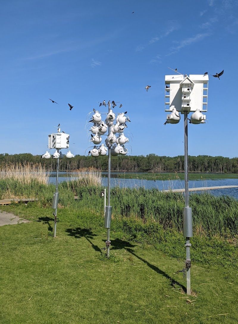Combine habitat support with responsible follow-up