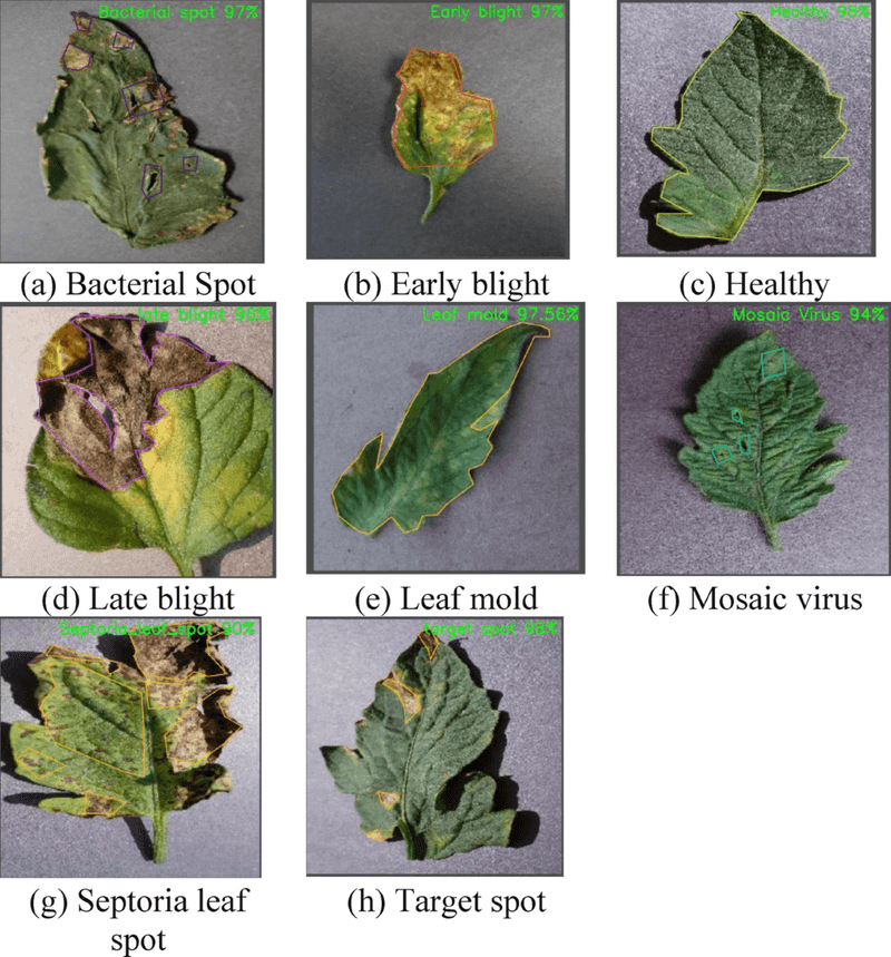 Compare look-alike diseases and noninfectious stress Compare look-alike diseases and noninfectious stress