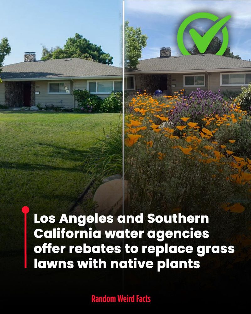 Confirm the address, water agency, and eligible turf area