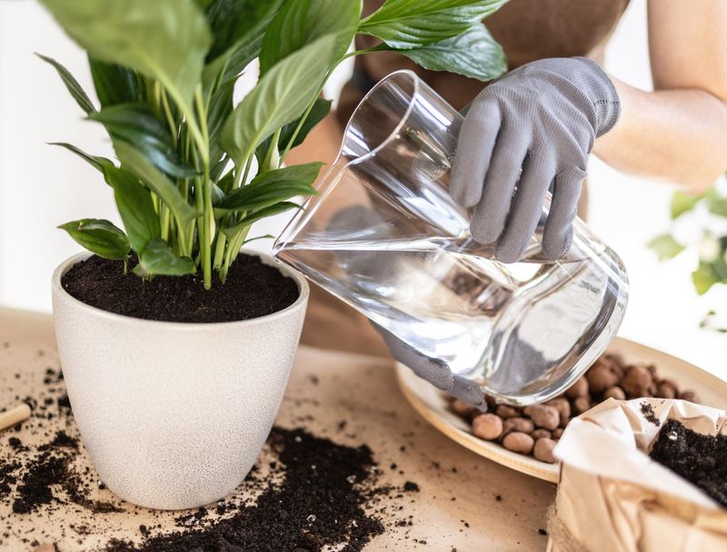 Correct moisture, temperature, and feeding problems
