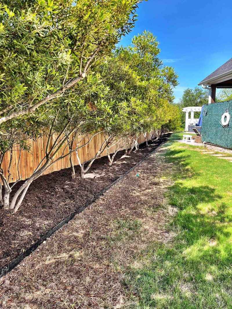 Correct planting and steady water support early growth