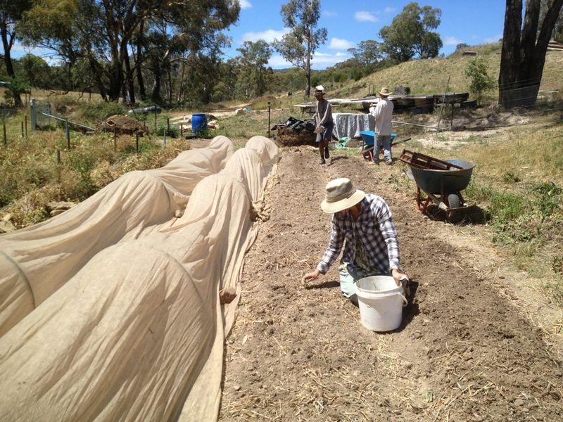 Correct the seed-zone problem before sowing again