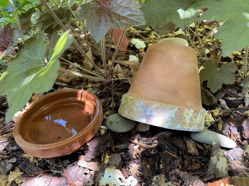 Create a cool, shaded refuge for resident toads Create a cool, shaded refuge for resident toads