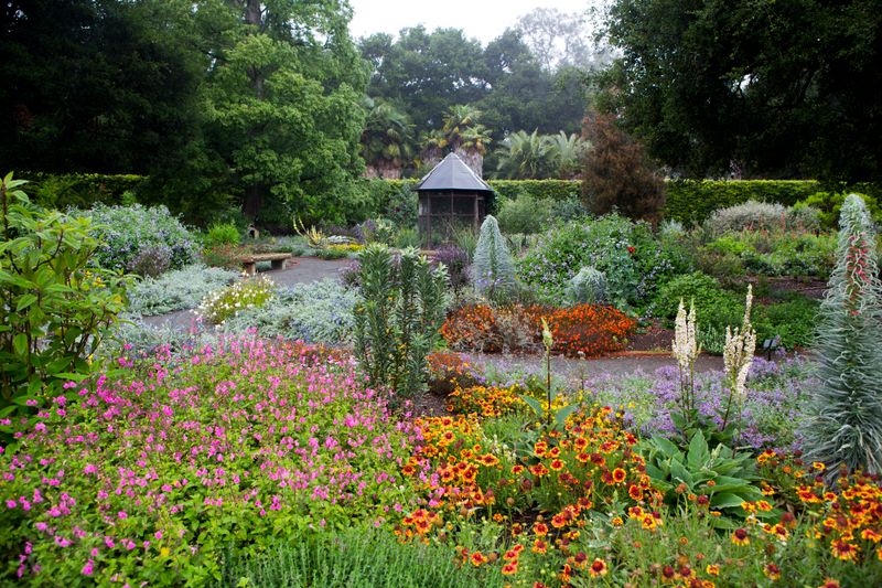 Create habitat that supports resident predators generally