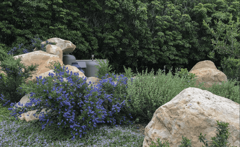 Create practical habitat without overpromising results
