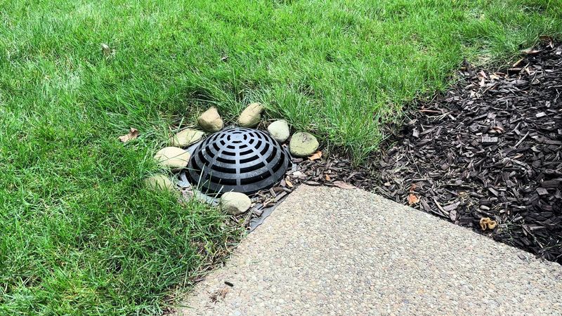 Decide whether the lawn needs smoothing or regrading