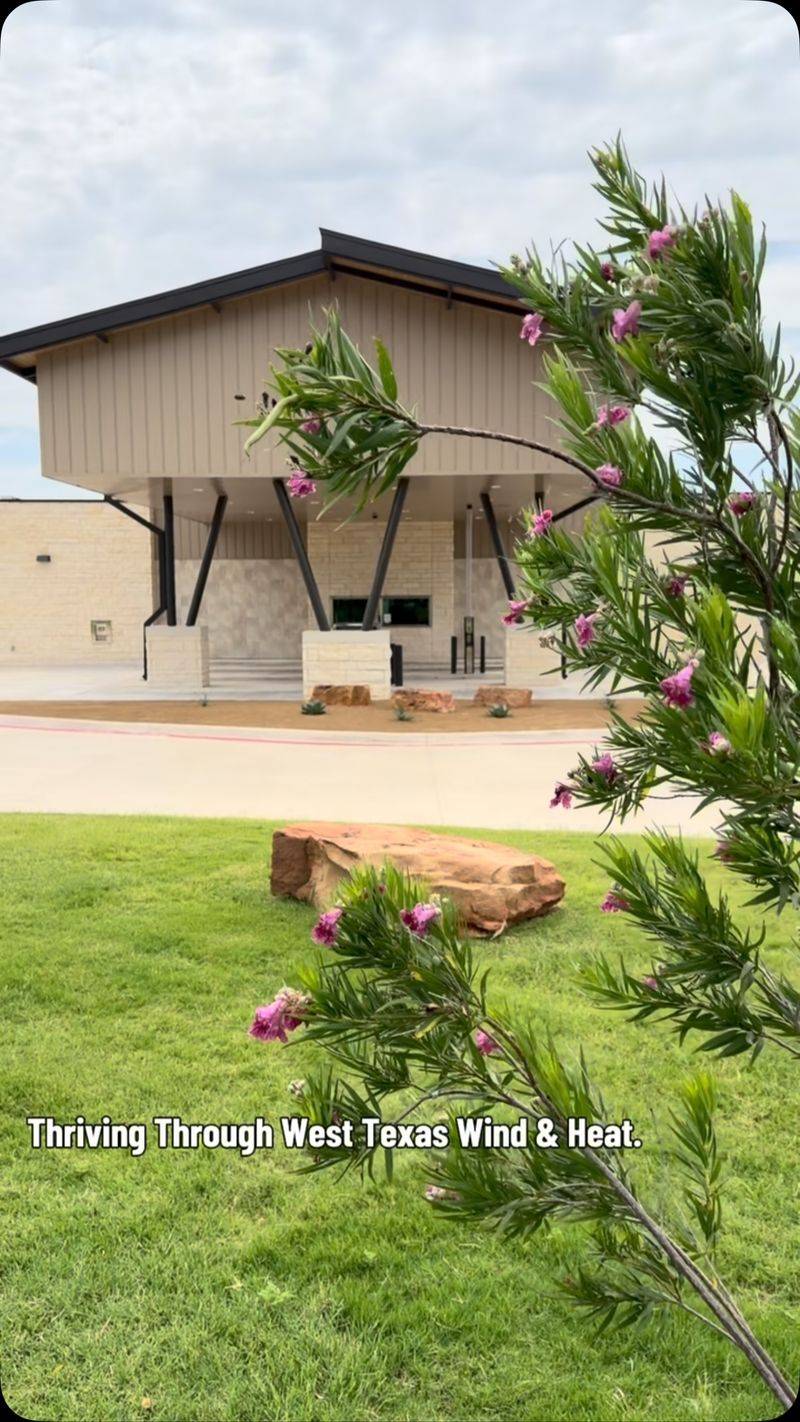 Design a Semi-Open Yard Instead of a Cactus Wall