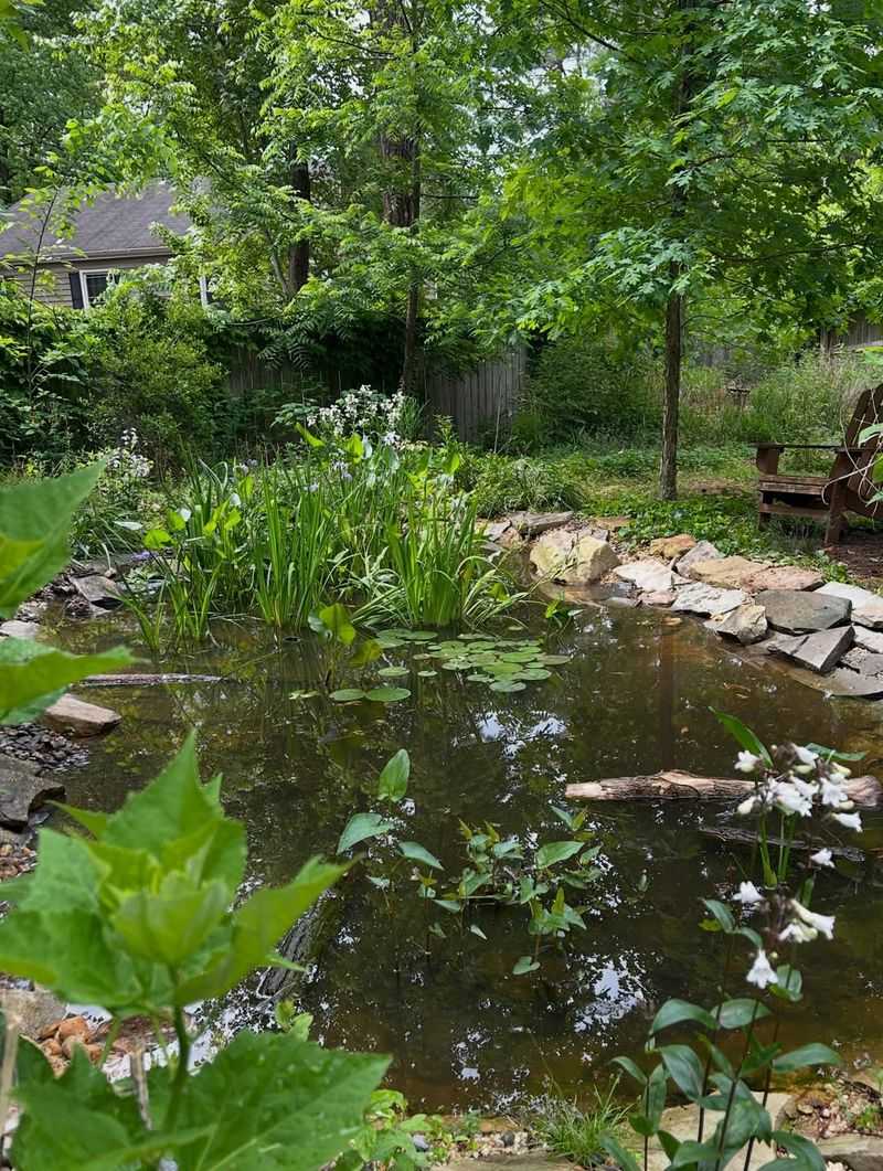 Design a cautious Texas wildlife pond Design a cautious Texas wildlife pond