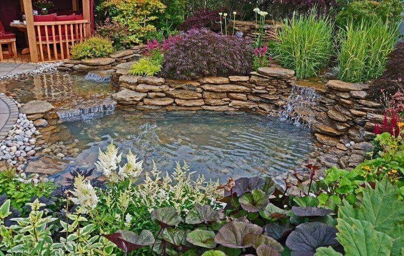 Design a varied pond margin instead of planting one hero species
