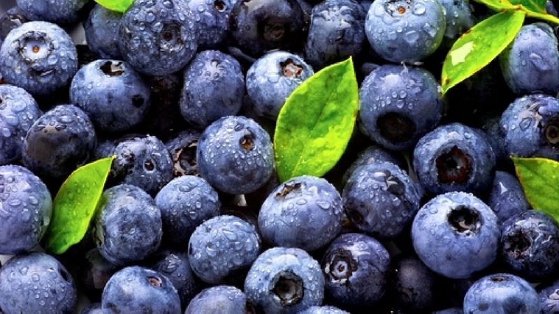Developing fruit deserves a more cautious, crop-specific check