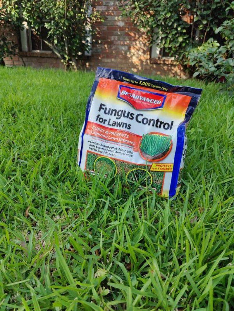 Diagnose before applying a pesticide