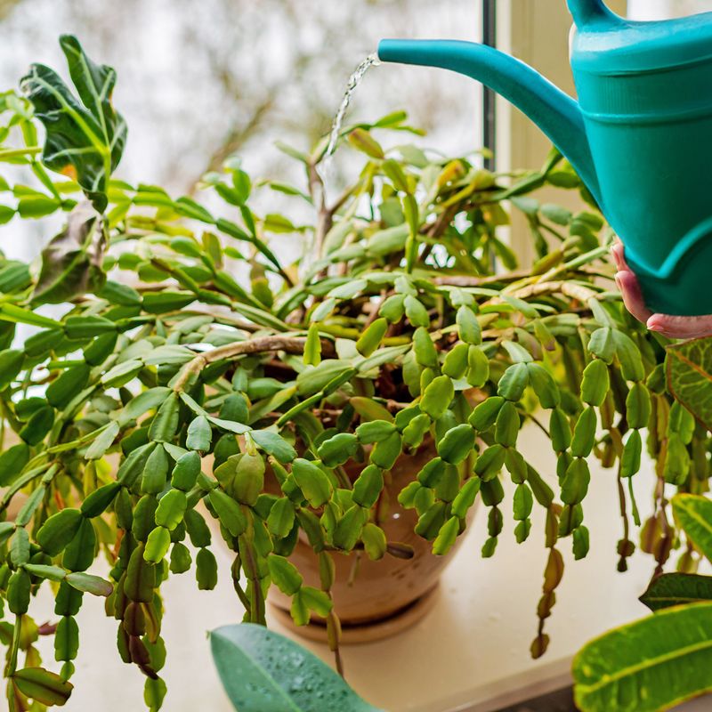 Dry Soil Calls for a Complete, Controlled Drink
