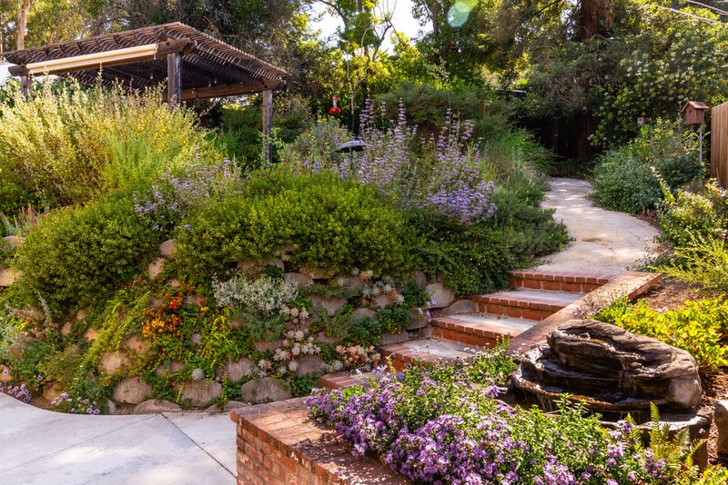 Evaluate the whole yard before adding a box