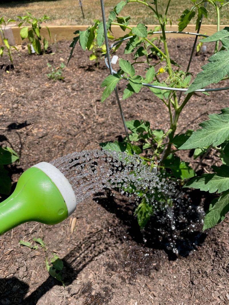 Even moisture protects the crop from adding drought stress to heat stress