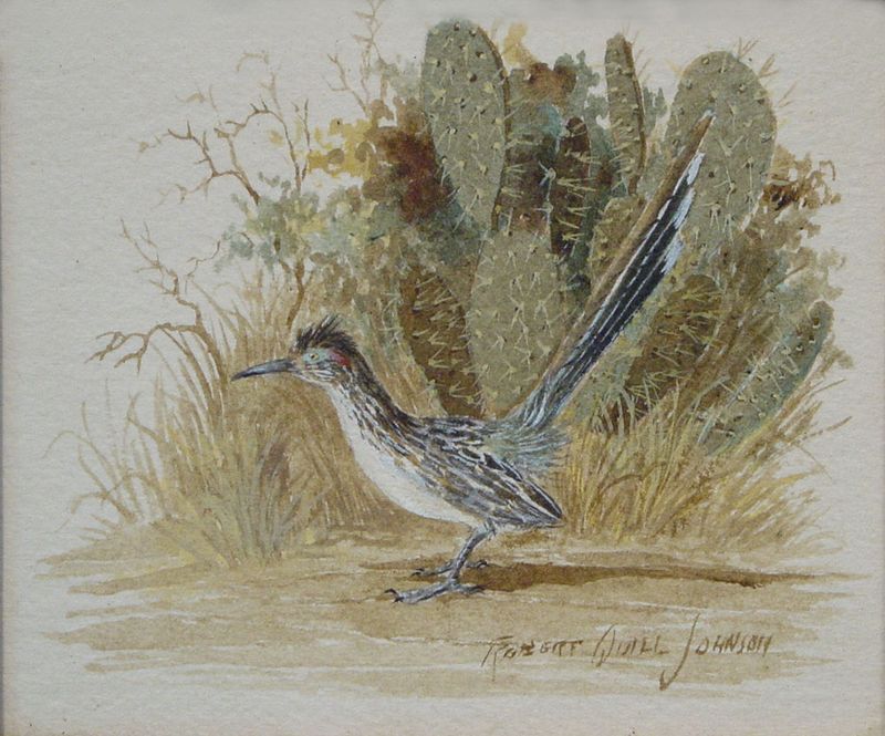 Expect a habitat improvement, not a guaranteed roadrunner visit