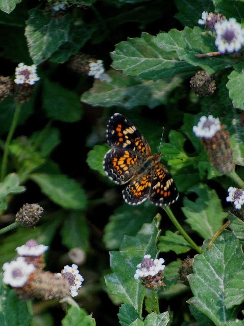 Expect habitat value and seasonal changes