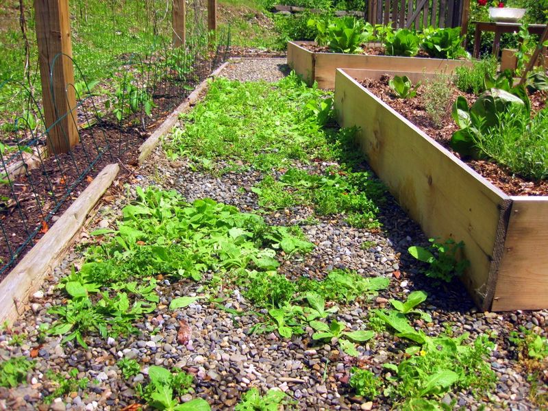 Expect new weeds at edges, seams, and debris deposits