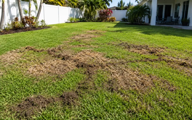 Find the cause before you smooth the surface