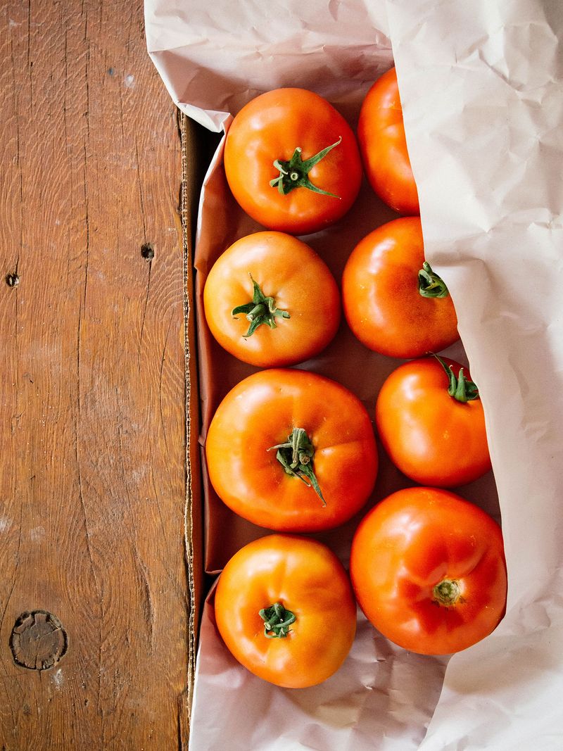 Finish mature-green and breaker-stage tomatoes indoors Finish mature-green and breaker-stage tomatoes indoors