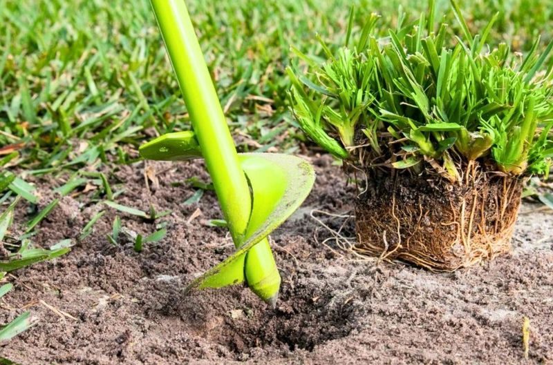 Fix the limiting condition before replacing the grass