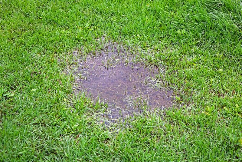 Fix wet conditions without mistaking them for a cure