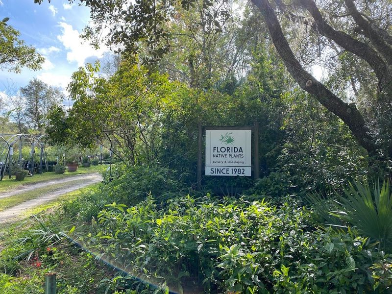 Florida Native Plants Nursery