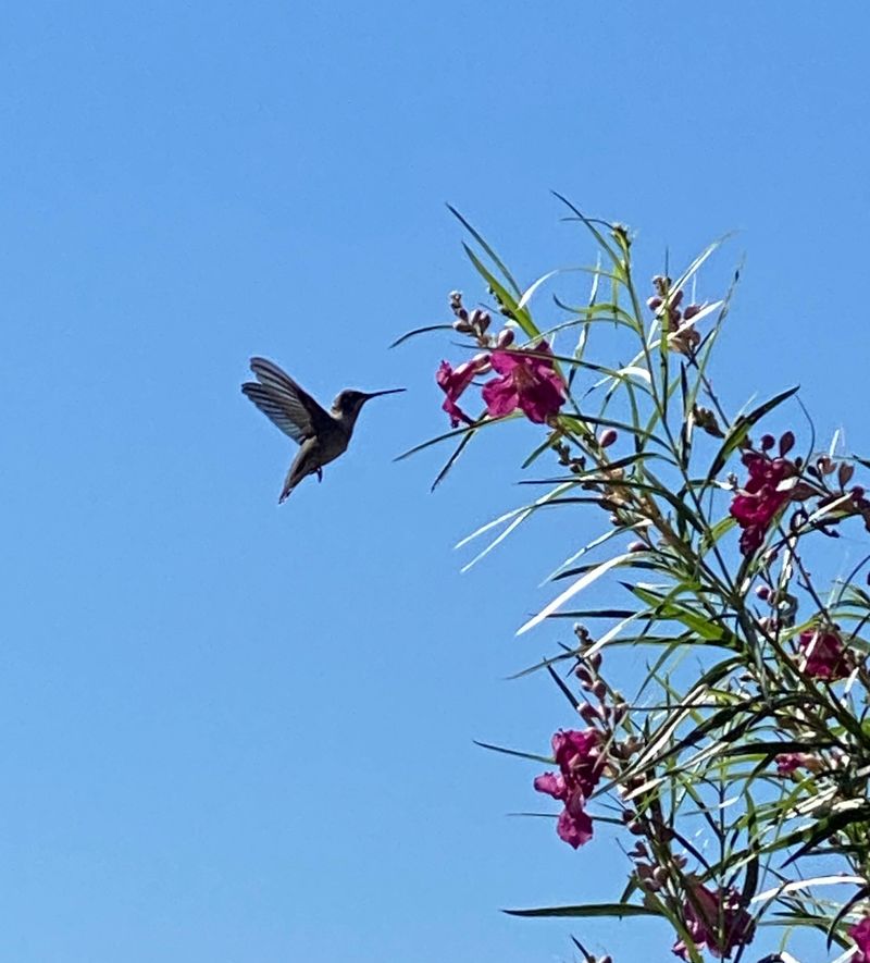 Flowers and wildlife provide the seasonal reward