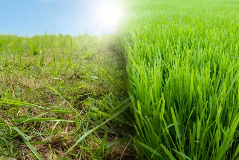 Follow a season-by-season recovery plan Follow a season-by-season recovery plan