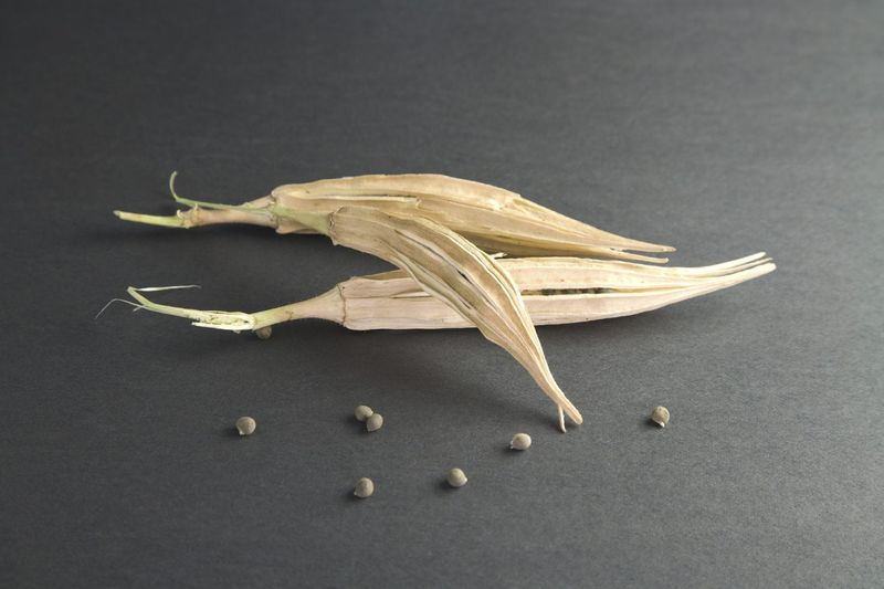 Give Overmature Pods a Different Job