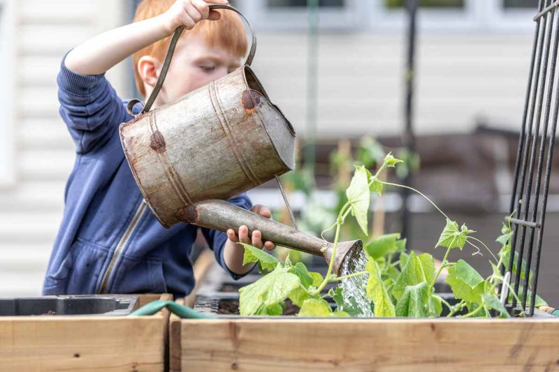 Give dry soil a slow, deep soak