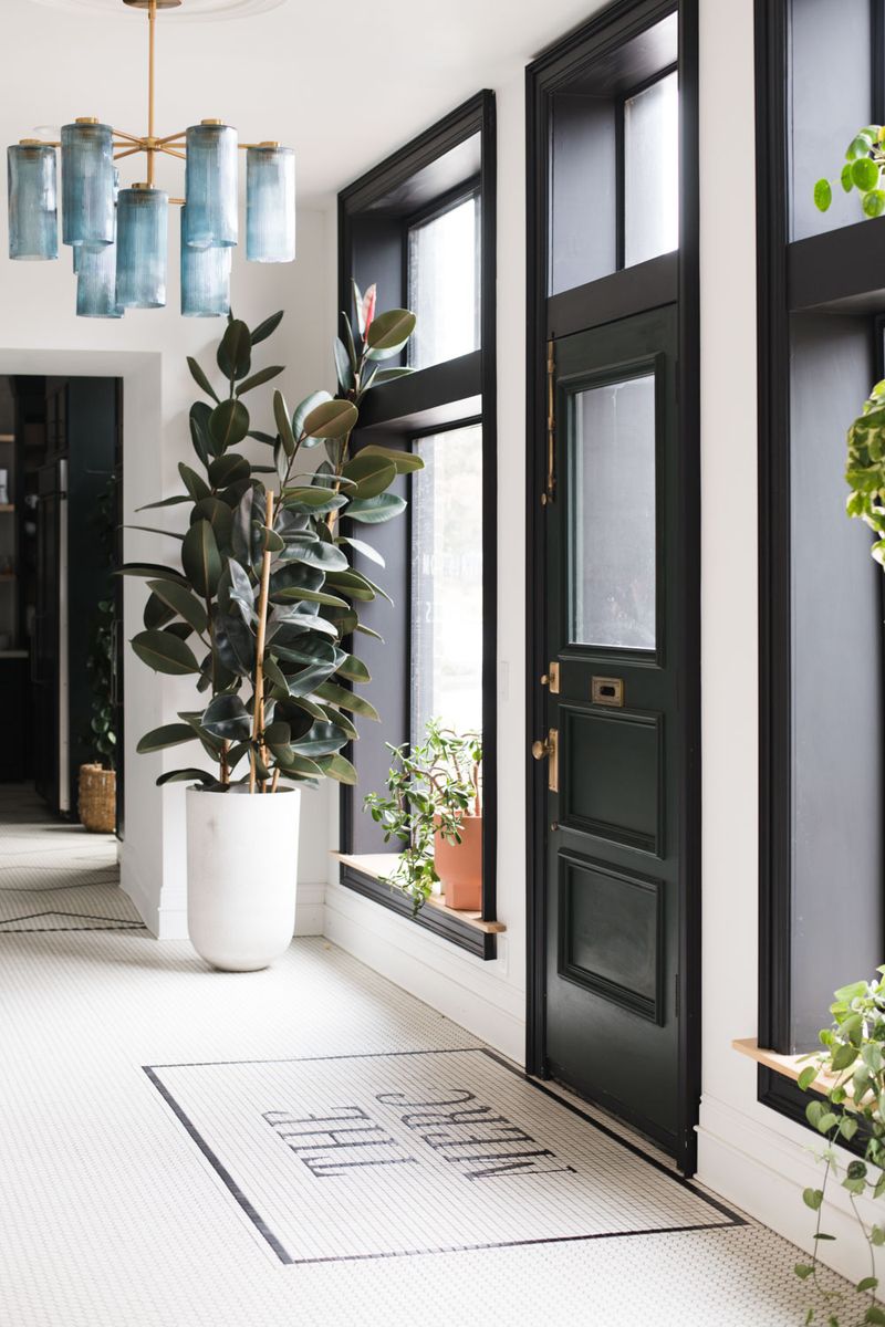 Give the Plant Bright, Filtered Light