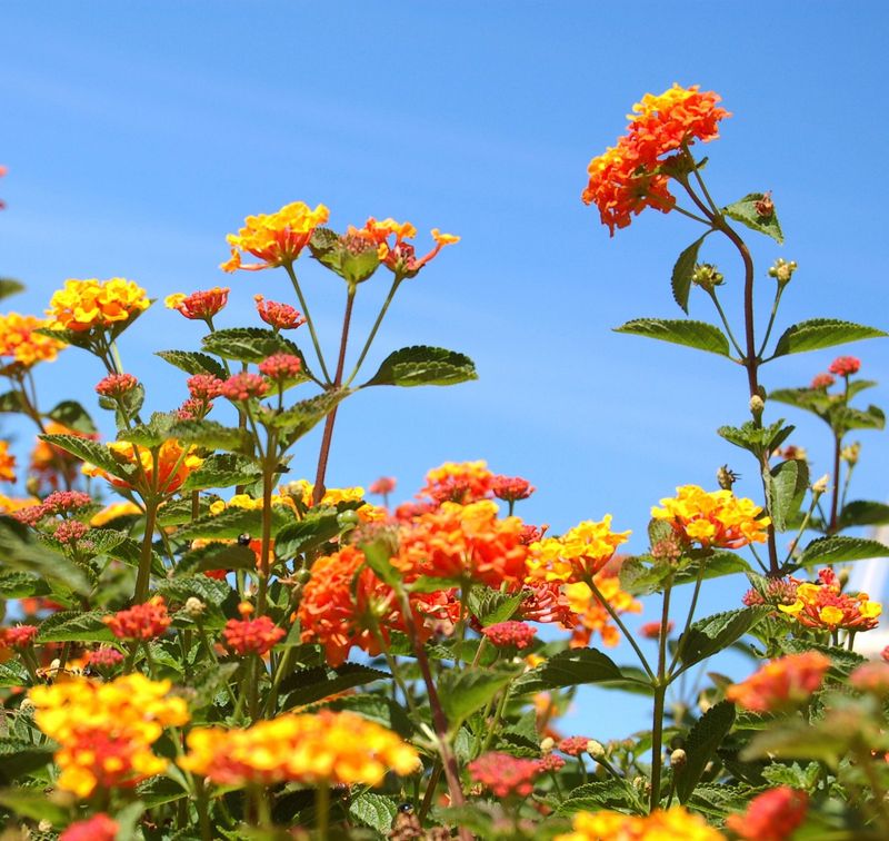 Give the plant time to respond after the correction