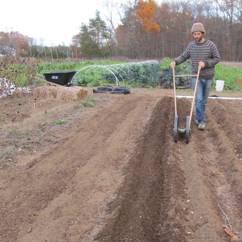 Give the seed a fine, moist, well-drained bed